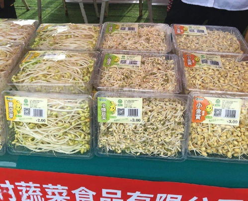 养老金上调惠及40余万退休人员，路段施工提醒与科技成果对接活动预告