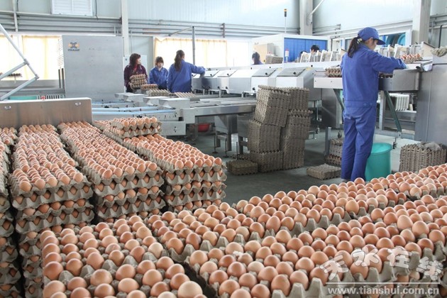 挖掘潜力，转型升级 加快天水农村第二产业发展的调查与思考