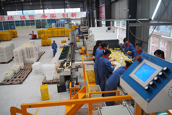 精准扶贫下初级农产品的标志性品牌打造路径