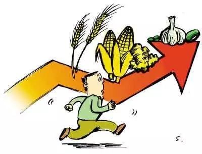 粮食价格持续走低 探究初级农产品市场困境