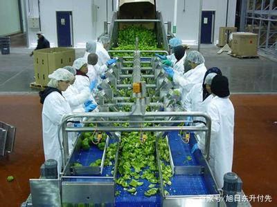 300万资金在乡村 初级农产品投资项目的策略与机遇